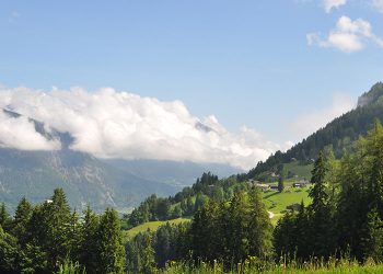 Fitness und Sport Therapie